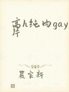 高h纯肉gay片