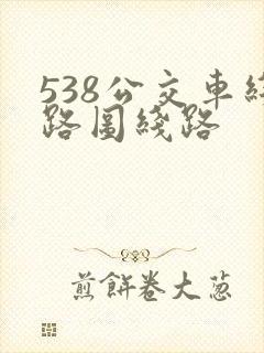 538公交车线路图线路