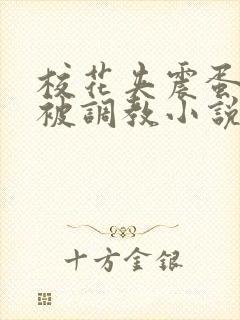 校花夹震蛋上课被调教小说