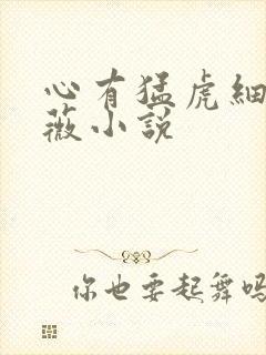 心有猛虎细嗅蔷薇小说
