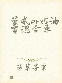 荣威erx5油电混合车