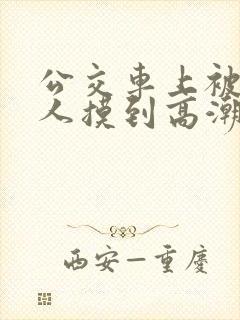 公交车上被陌生人摸到高潮视频