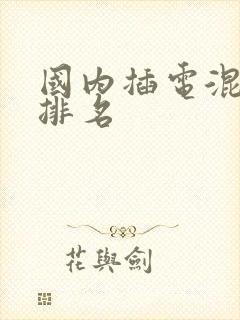 国内插电混动车排名