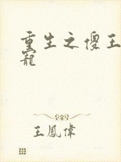 重生之傻王心尖宠