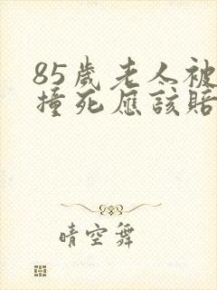 85岁老人被车撞死应该赔偿多少