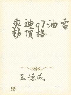 奥迪q7油电混动价格