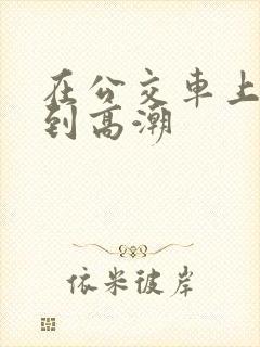 在公交车上被弄到高潮