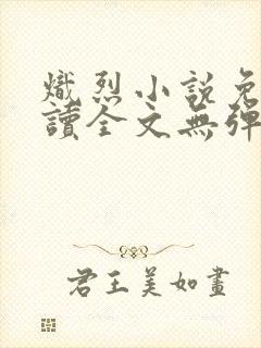 炽烈小说免费阅读全文无弹窗
