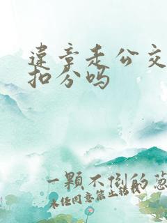 违章走公交车道扣分吗