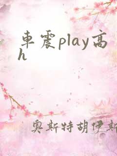 车震play高h