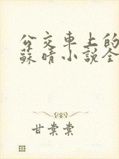 公交车上的妈妈苏晴小说全文阅读下