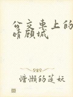 公交车上的诗请晴顾城