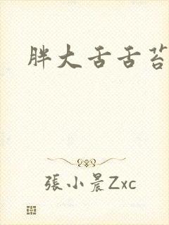 胖大舌舌苔白腻