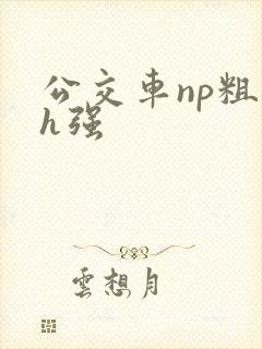 公交车np粗暴h强