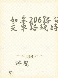 如皋206路公交车路线时间表