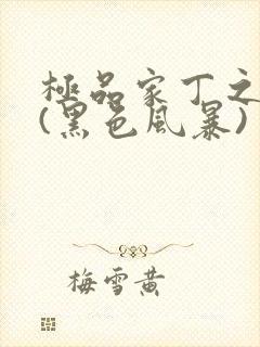 极品家丁之征服(黑色风暴)