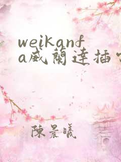 weikanfa威兰达插电混动