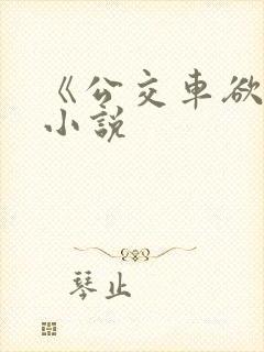 《公交车欲淫》小说