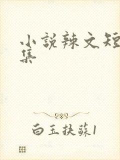 小说辣文短篇合集