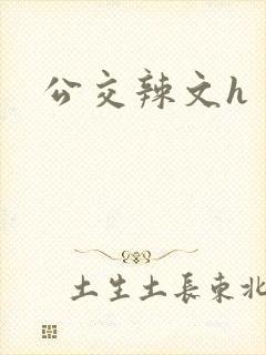 公交辣文h