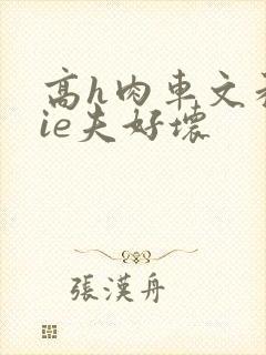 高h肉车文和jie夫好坏