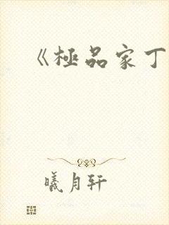 《极品家丁》