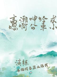 高潮呻吟求饶h嗯啊公车小说为