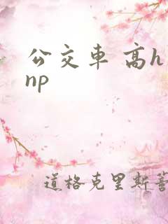 公交车 高h np