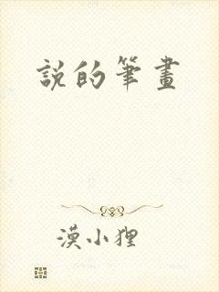 说的笔画