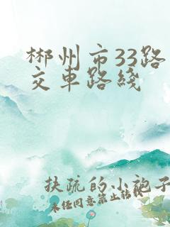 郴州市33路公交车路线
