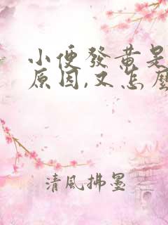 小便发黄是什么原因,又怎么解决?