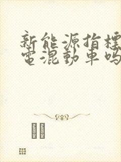 新能源指标买插电混动车吗