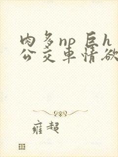 肉多np 巨h公交车情欲