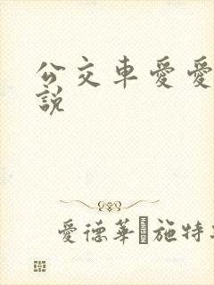 公交车爱爱的小说