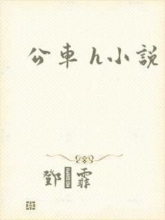 公车 h小说