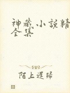 神藏小说精校版全集