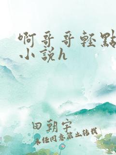 啊哥哥轻点儿插小说h