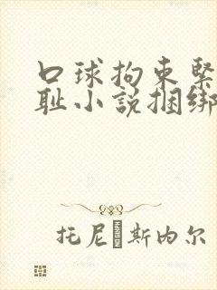 口球拘束紧缚羞耻小说捆绑