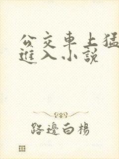 公交车上猛烈的进入小说