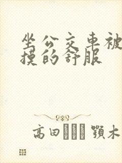 坐公交车被男人摸的舒服