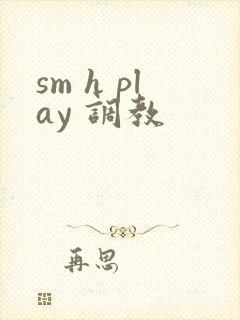 sm h play 调教