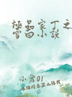 极品家丁之巧巧雪白小说