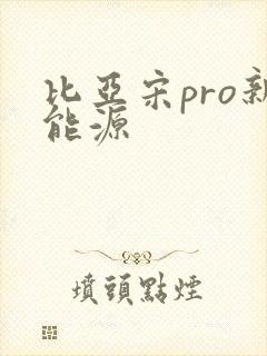 比亚宋pro新能源