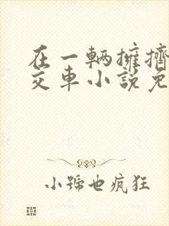 在一辆拥挤的公交车小说免费阅读
