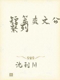 短篇爽文公交车系列