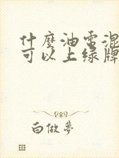 什么油电混动车可以上绿牌