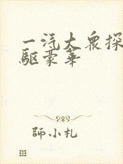 一汽大众探岳两驱豪华