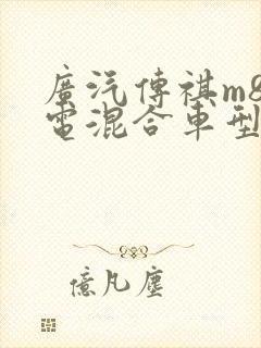 广汽传祺m8油电混合车型