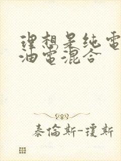 理想是纯电还是油电混合