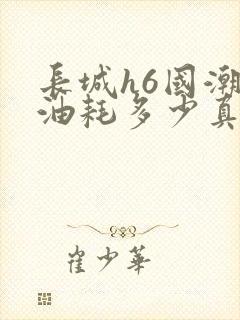 长城h6国潮版油耗多少真实油耗